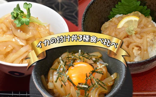 イカ好きにはたまらない!高鮮度イカの漬け丼3種食べ比べセット各2食[F0089]