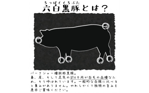 和水 黒いダイヤモンド「六白黒豚」ハンバーグ 5個 | 熊本県 熊本 くまもと 和水町 なごみまち なごみ 豚肉 黒豚 ハンバーグ 冷凍 惣菜