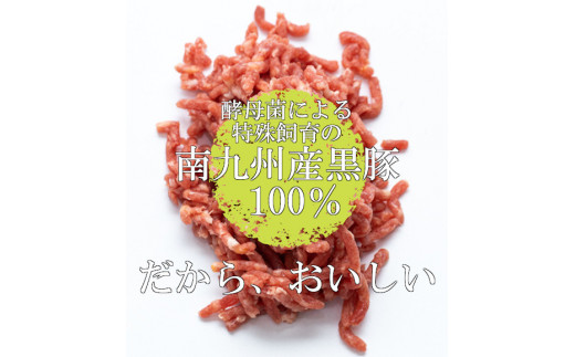 和水 黒いダイヤモンド「六白黒豚」ハンバーグ 5個 | 熊本県 熊本 くまもと 和水町 なごみまち なごみ 豚肉 黒豚 ハンバーグ 冷凍 惣菜