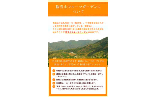 ジャム3種類（みかん・いちじく・レモン）詰合せ 有限会社柑香園 《90日以内に出荷予定(土日祝除く)》 和歌山県 紀の川市 フルーツ 果物 柑橘 みかん レモン イチジク いちじく 送料無料