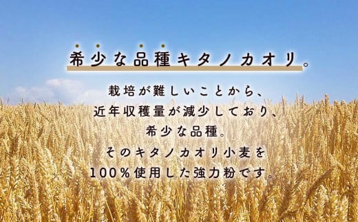 北海道　東神楽町産小麦粉で作る、クッキー手作りセットとひがしかぐらジャム2本（ハスカップ、ブルーベリー）