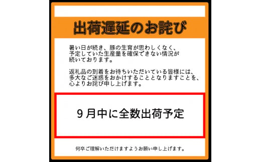 国産 豚肉 ステーキ セット 約1.2kg 5種 タン スペアリブ ポークチョップ 肩ロース モモ 冷凍 5000円 5千円 農地直送 ポーク お肉 徳島県産