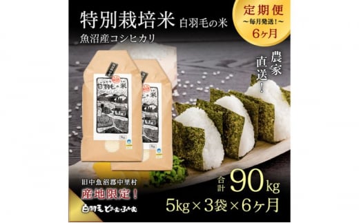 【通年受付】≪令和6年産　≫【定期便／全6回】農家直送！魚沼産コシヒカリ特別栽培「白羽毛の米」精米15kg(5kg×3袋)×6回 計90kg