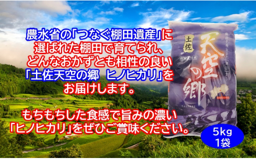 農林水産省の「つなぐ棚田遺産」に選ばれた棚田で育てられた棚田米　土佐天空の郷　ヒノヒカリ　5kg