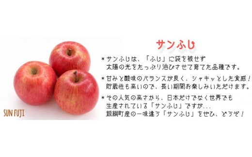 りんご サンふじ 家庭用 5kg 相澤農園 2024年12月上旬頃から2024年12月中旬頃まで順次発送予定 沖縄県への配送不可 令和6年度収穫分 長野県 飯綱町 [1856]