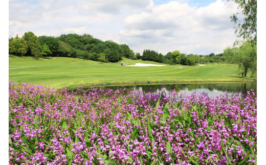 東建塩河カントリー倶楽部利用券（15,000円分）【 岐阜県 可児市 ゴルフ golf ゴルフ場 プレー チケット 利用券 東建ホームメイトカップ 年中無休 365日 土日祝 自然 みどり 広大 プレー券 温泉 施設利用 広陵コース フェアウェイ】