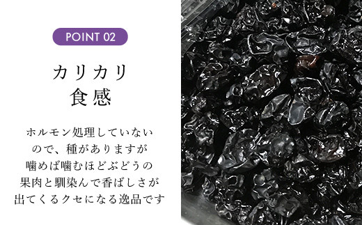 京都・三和ぶどう　セミドライレーズン 80g  ふるさと納税 レーズン ぶどう セミドライ 干し 京都府 福知山市