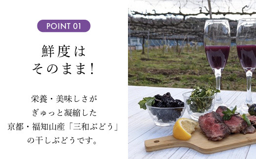 京都・三和ぶどう　セミドライレーズン 80g  ふるさと納税 レーズン ぶどう セミドライ 干し 京都府 福知山市