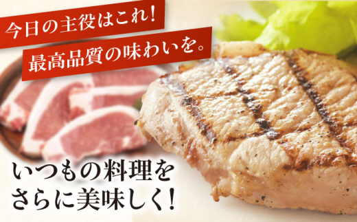 肉 豚肉 ロース ステーキ ステーキ用 とんかつ トンテキ 生姜焼き 冷蔵配送 