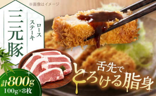 肉 豚肉 ロース ステーキ ステーキ用 とんかつ トンテキ 生姜焼き 冷蔵配送 