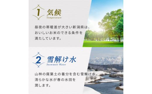 米 定期便 7kg×6か月 (計 42kg) 新潟県産 コシヒカリ 令和6年産 精米したてをお届け 新潟のど真ん中 見附市 こしひかり