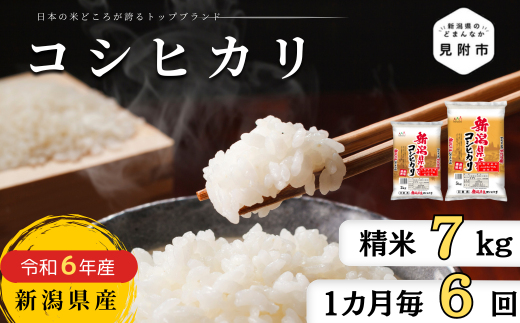 米 定期便 7kg×6か月 (計 42kg) 新潟県産 コシヒカリ 令和6年産 精米したてをお届け 新潟のど真ん中 見附市 こしひかり