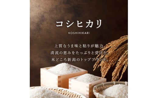 米 定期便 7kg×6か月 (計 42kg) 新潟県産 コシヒカリ 令和6年産 精米したてをお届け 新潟のど真ん中 見附市 こしひかり