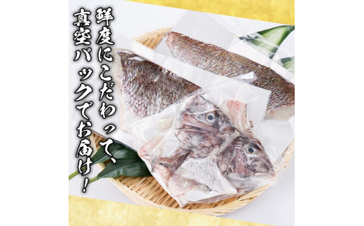 鮮度抜群！養殖真鯛(1尾分・約1.5kg) 鯛 真鯛 魚貝 魚介 海産物 刺身 焼き魚 煮つけ 真空パック【さるがく水産】a-14-43-z