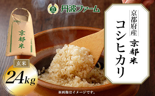 ＜令和６年産新米＞京都府産コシヒカリ 玄米24kg  ふるさと納税 玄米 こめ コシヒカリ こしひかり 24kg 京都府 福知山市