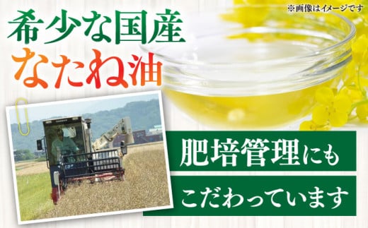 【白石町産】「元気油」 なたね油 一番搾り クリア 2本箱入り【道の駅しろいしカンパニー】油 菜種油【IAA023】