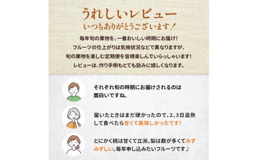 定期便 2回 先行予約 【 桃 白桃 6～7月頃 梨 8～10月頃 】白鳳 特製桃源郷錦 約1kg、清流錦梨 約5kg もも モモ なし フルーツ 果物 デザート お楽しみ 2024年発送 配送不可:離島