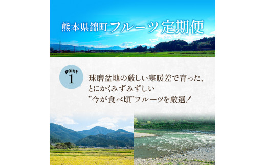 定期便 2回 先行予約 【 桃 白桃 6～7月頃 梨 8～10月頃 】白鳳 特製桃源郷錦 約1kg、清流錦梨 約5kg もも モモ なし フルーツ 果物 デザート お楽しみ 2024年発送 配送不可:離島