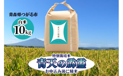 青天の霹靂 (特別栽培米) 白米10kg 令和6年産 青森県産米 [お申込み後に精米]｜2024年産 新米 つがる市 お米 米 こめ へきれき 白米 精米 特栽米 ブランド米 [0760]