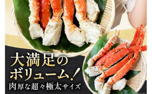 【年内配送 12/15まで受付】本 タラバガニ 脚 スリット入 約1.3kg 極太6Lサイズ ボイル済 [カネダイ 宮城県 気仙沼市 20564363] カニ かに 蟹 たらばがに たらば蟹 タラバ蟹 たらば タラバ ボイル 訳あり レビューキャンペーン 感想