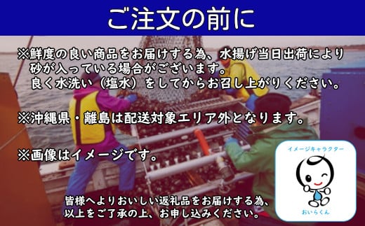 百石町漁業協同組合直送！ホッキ貝 5kg （2025年1月発送） 【 ふるさと納税 人気 おすすめ ランキング 5kg 生もの ホッキ ほっき ホッキ貝 ほっき貝 冷蔵 漁協直送 ブランド認定 ブランド 奥入瀬  北寄貝 クール便 冷蔵便 青森県 おいらせ町 送料無料 】 OIQ101-b