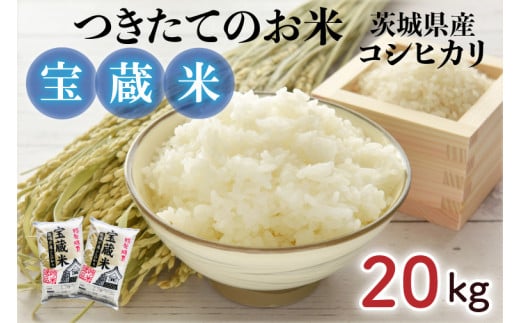 【令和6年産】茨城県産コシヒカリ 宝蔵米 20kg【お米 米 菊池 こしひかり つきたてのお米 食味ランキング特A評価 茨城県 水戸市】（CZ-408）