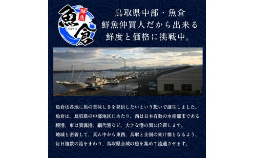 １００．【活】訳あり松葉ガニ　2枚◇
※2024年11月上旬～2025年3月下旬頃に順次発送予定
※着日指定不可