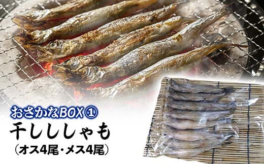 おさかなBOX 北海道産 干物 セット ひもの ほっけ ししゃも 氷下魚 釧路 魚 F4F-5014