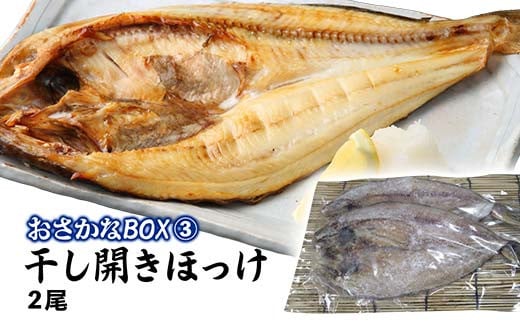 おさかなBOX 北海道産 干物 セット ひもの ほっけ ししゃも 氷下魚 釧路 魚 F4F-5014