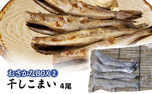 おさかなBOX 北海道産 干物 セット ひもの ほっけ ししゃも 氷下魚 釧路 魚 F4F-5014