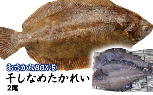 おさかなBOX 北海道産 干物 セット ひもの ほっけ ししゃも 氷下魚 釧路 魚 F4F-5014