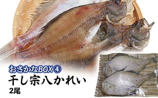 おさかなBOX 北海道産 干物 セット ひもの ほっけ ししゃも 氷下魚 釧路 魚 F4F-5014