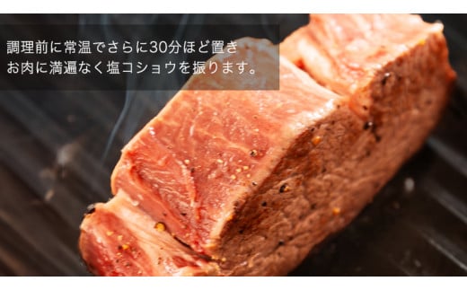 【 常陸牛 】 ヒレステーキ 600g ( 200g × 3枚 ) ステーキ ヒレ ヒレ肉 牛肉 ブランド牛 A4 A5 お肉 肉 黒毛和牛 和牛 国産黒毛和牛 国産牛 希少部位 焼肉 焼き肉 バーベキュー BBQ (茨城県共通返礼品)