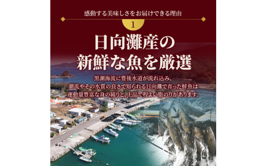 【お楽しみ定期便】延岡産活〆鮮魚の豪華お刺身（6ヶ月定期便） N019-YF073