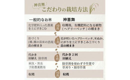 お米 【神喜舞】 玄米5kg [令和6年産]《 お米 農薬不使用 玄米 5キロ 安心 安全 米 おこめ 国産 送料無料 ヒノヒカリ 》【2401B08411】