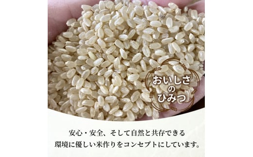 お米 【神喜舞】 玄米5kg [令和6年産]《 お米 農薬不使用 玄米 5キロ 安心 安全 米 おこめ 国産 送料無料 ヒノヒカリ 》【2401B08411】