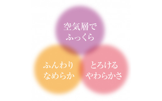 【293】手洗いOK　とろけるふとん掛けカバー　【ダブル】サイズ（色は「さくらピンク」と「ミントグリーン」の2色から選択できます）