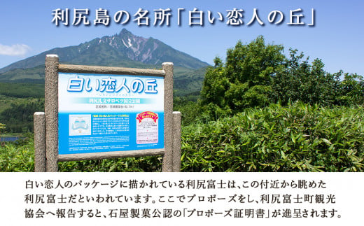 白い恋人 【白い恋人に描かれた利尻山】白い恋人（ホワイト＆ブラック）72枚（36枚入 2缶） お菓子 おやつ クッキー食べ比べ 焼き菓子 クッキー缶 北海道 お土産