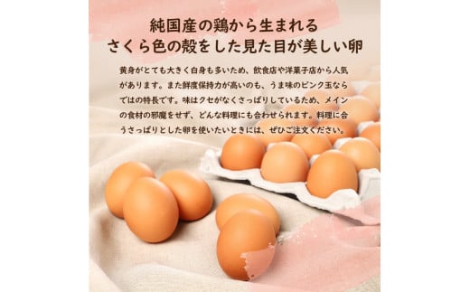 【6ヶ月定期便】”忍野の卵”旨味のピンク玉　※卵25個+割れ保証5個　計180個