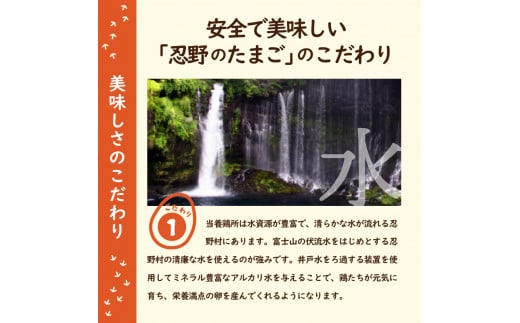 【6ヶ月定期便】”忍野の卵”旨味のピンク玉　※卵25個+割れ保証5個　計180個