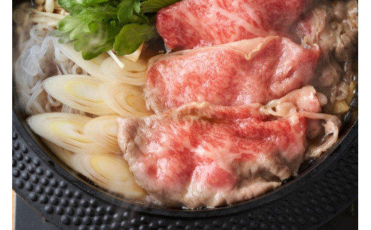 【厳選部位】博多和牛サーロインしゃぶしゃぶすき焼き用　500ｇ【しゃぶしゃぶ用 すき焼き用 牛肉 希少 厳選 国産 和牛 博多和牛 牛肉 肉 牛 しゃぶしゃぶ すき焼き サーロイン 福岡県 大任町 AN011】