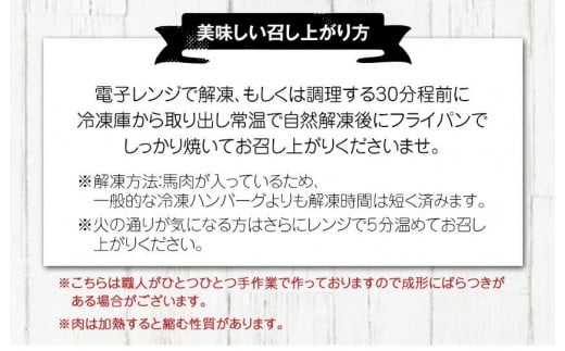 手作りハン馬ーグ 100g×10個 馬肉100%配合！【熊本肥育】ハンバーグ たっぷり 冷凍 お中元 肉 お手軽 お取り寄せ《30日以内に出荷予定(土日祝除く)》