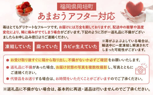 【予約受付】【2025年3月上旬～下旬発送予定】大容量あまおう 600g