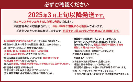 【予約受付】【2025年3月上旬～下旬発送予定】大容量あまおう 600g