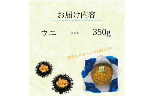 生ウニ ミョウバン不使用 無添加 350g 三陸産 国産 岩手県産 天然 キタムラサキウニ 雲丹 冷蔵 大船渡市 岩手県 ウニ丼 刺身