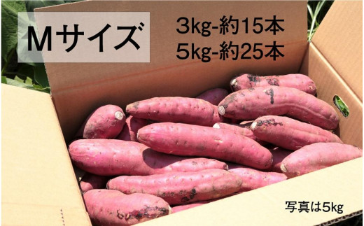 さつまいも 紅はるか 堀りたて 5kg ( 1箱 ) Mサイズ 新物 鹿児島県産 2024年12月末までに出荷