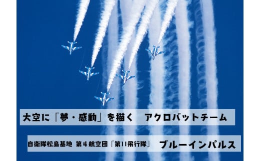 ブルーインパルスミニベアパイロット（ヘルメットVer）ブルーインパルス くま ベア 宮城県 東松島市 オンラインワンストップ 対応 自治体マイページ 東松島観光物産公社