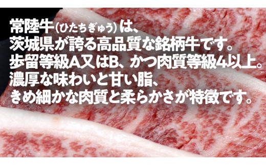 【 常陸牛100% 】 ハンバーグ 10個 ( ソース付 )( 茨城県共通返礼品 ) 牛肉100% 国産 ブランド牛 常陸牛 牛肉 肉 牛 お肉 黒毛和牛 和牛 おかず 惣菜 弁当 小分け 個包装 冷凍 時短 グルメ お取り寄せ お土産 贈り物 贈答 ギフト 日持ち 茨城