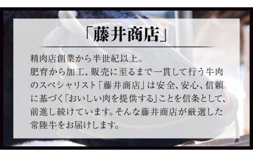 【 常陸牛100% 】 ハンバーグ 10個 ( ソース付 )( 茨城県共通返礼品 ) 牛肉100% 国産 ブランド牛 常陸牛 牛肉 肉 牛 お肉 黒毛和牛 和牛 おかず 惣菜 弁当 小分け 個包装 冷凍 時短 グルメ お取り寄せ お土産 贈り物 贈答 ギフト 日持ち 茨城