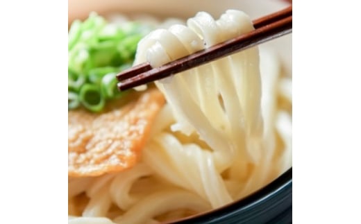 ＜糖質オフ 50%＞低糖質麺 うどん 2700g(約27人前)【1256465】